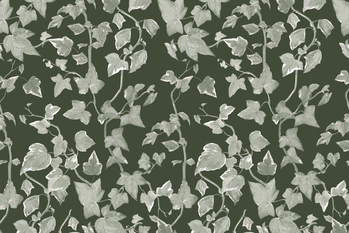 Flat pattern view of The Ivy Rectory wallpaper in forest green, showing the trailing ivy leaves