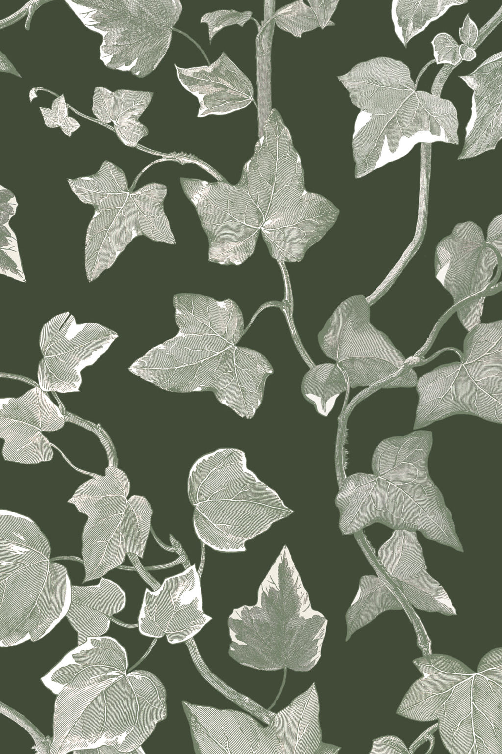 Close-up of The Ivy Rectory wallpaper in forest green showing the trailing ivy leaves in detail