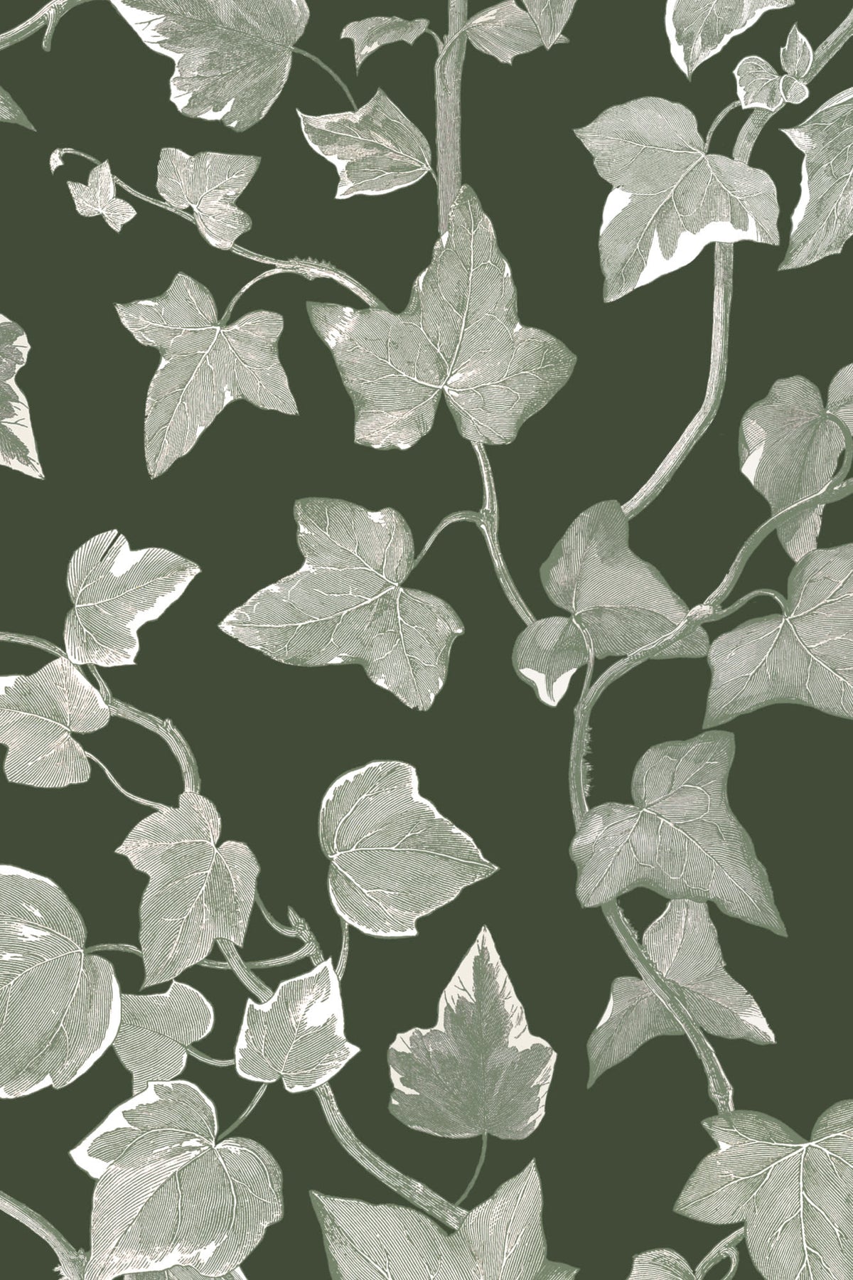 Close-up of The Ivy Rectory wallpaper in forest green showing the trailing ivy leaves in detail