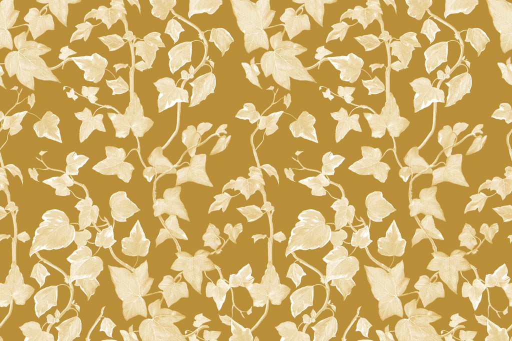 Flat pattern view of The Ivy Rectory wallpaper in mustard gold, showing the trailing ivy leaves