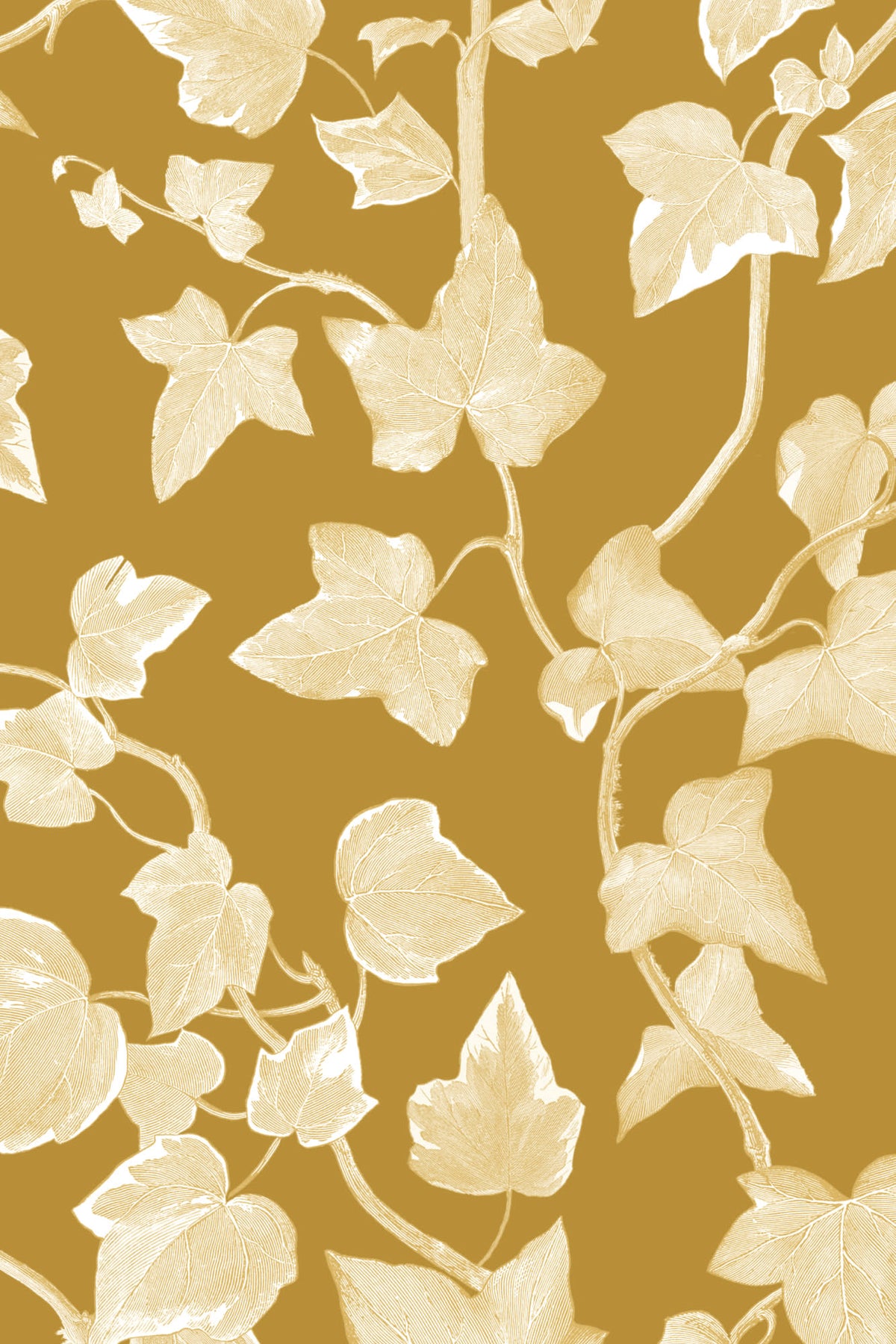 Close-up of The Ivy Rectory wallpaper in mustard gold showing the trailing ivy leaves in detail