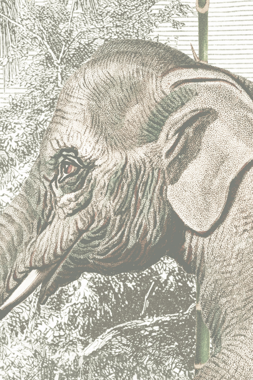 Close-up of The Jungle Caravan mural in jungle green showing the animals in a misty jungle in detail