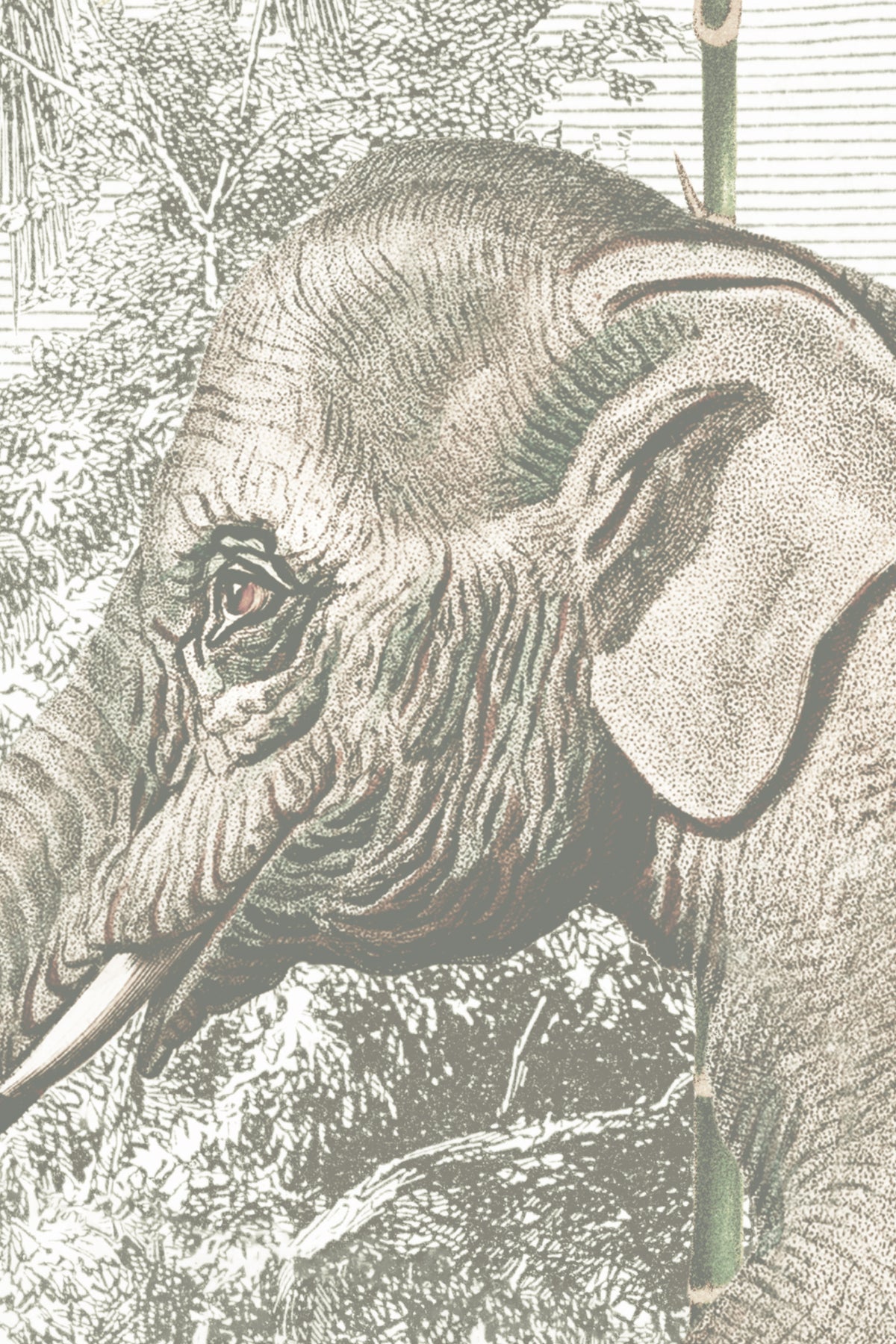 Close-up of The Jungle Caravan mural in jungle green showing the animals in a misty jungle in detail