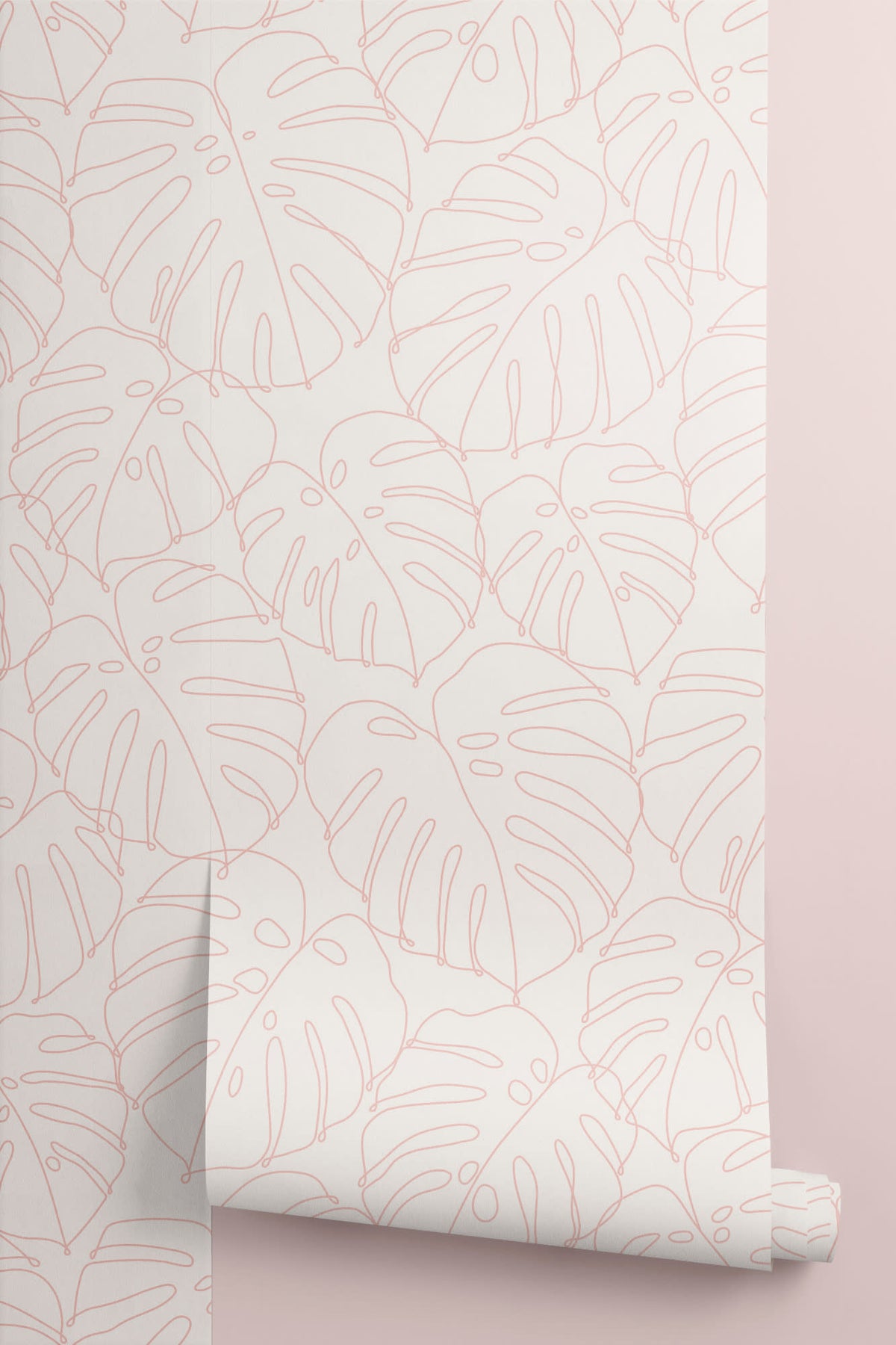 Roll of The Monstera Loggia wallpaper in blush and cream, another angle