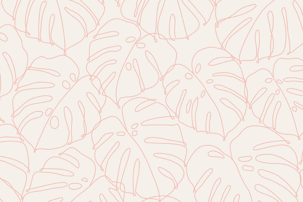 Flat pattern view of The Monstera Loggia wallpaper in blush and cream, showing the outlined monstera leaves