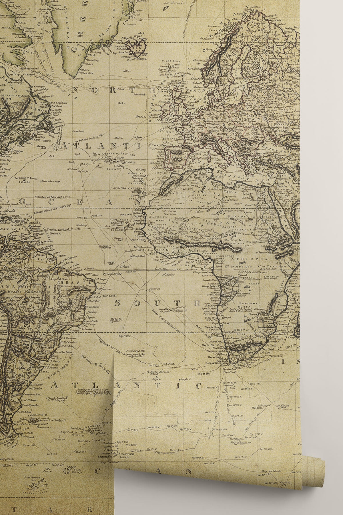 Rolled panel of The Old World Atlas mural in parchment brown