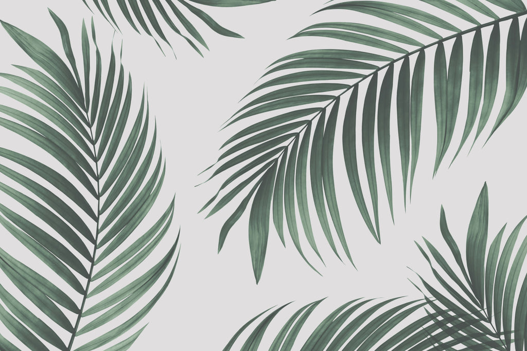 Full artwork view of The Palm Shade mural in palm green and dove grey, showing sweeping palm fronds