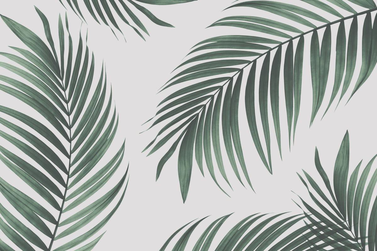 Full artwork view of The Palm Shade mural in palm green and dove grey, showing sweeping palm fronds