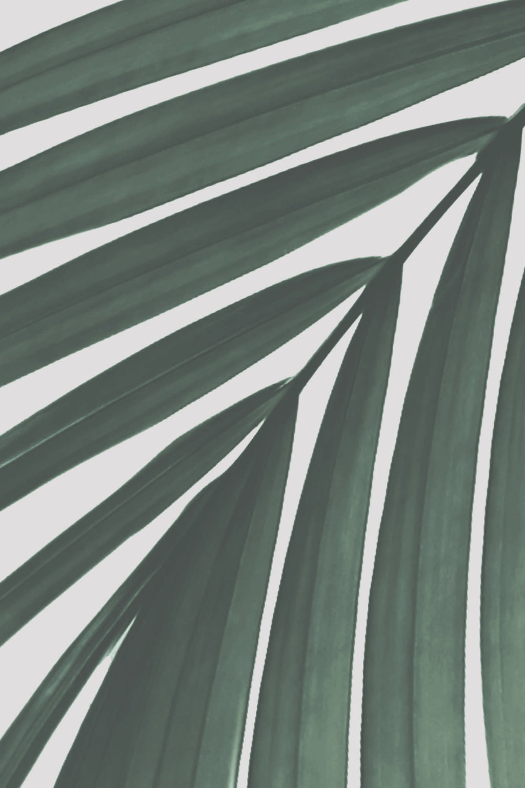 Close-up of The Palm Shade mural in palm green and dove grey showing the sweeping palm fronds in detail