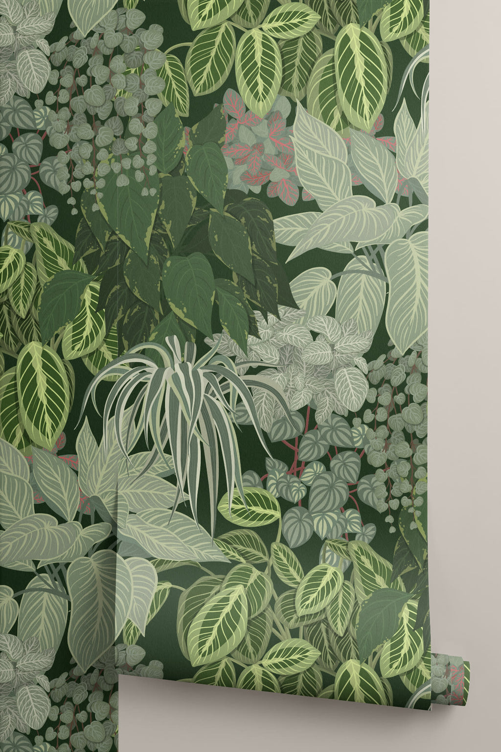 Roll of The Plant Room wallpaper in deep green, another angle