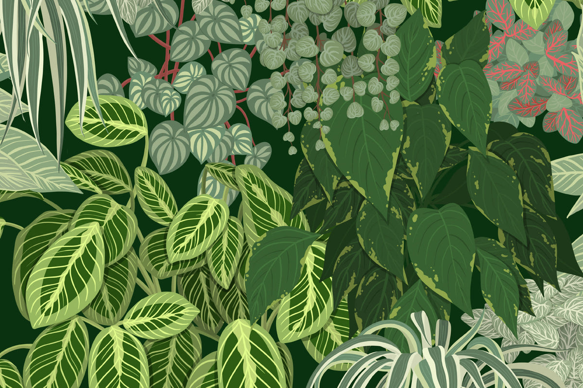 Flat pattern view of The Plant Room wallpaper in deep green, showing the dense layered house plants