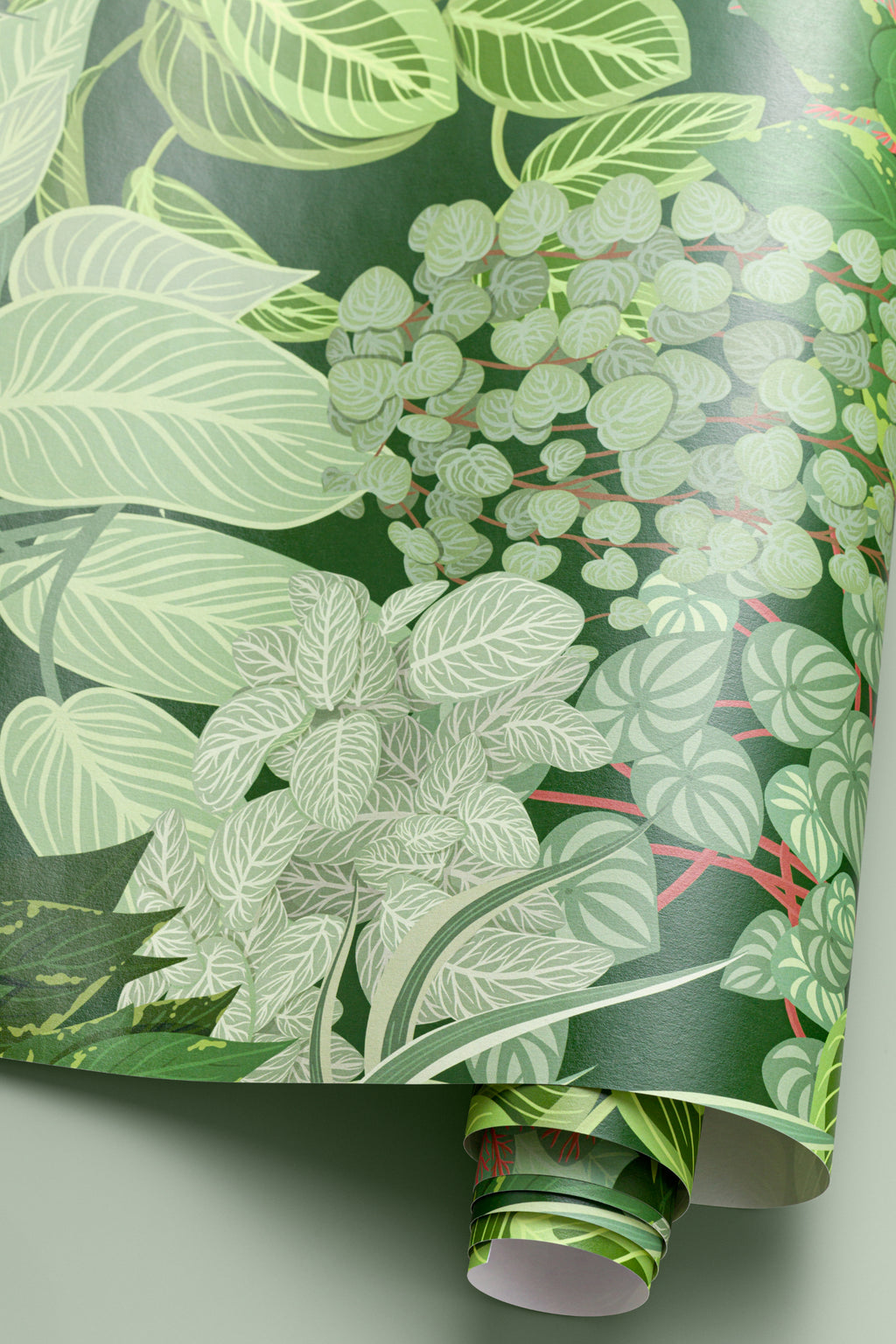 Angled detail of The Plant Room wallpaper in deep green