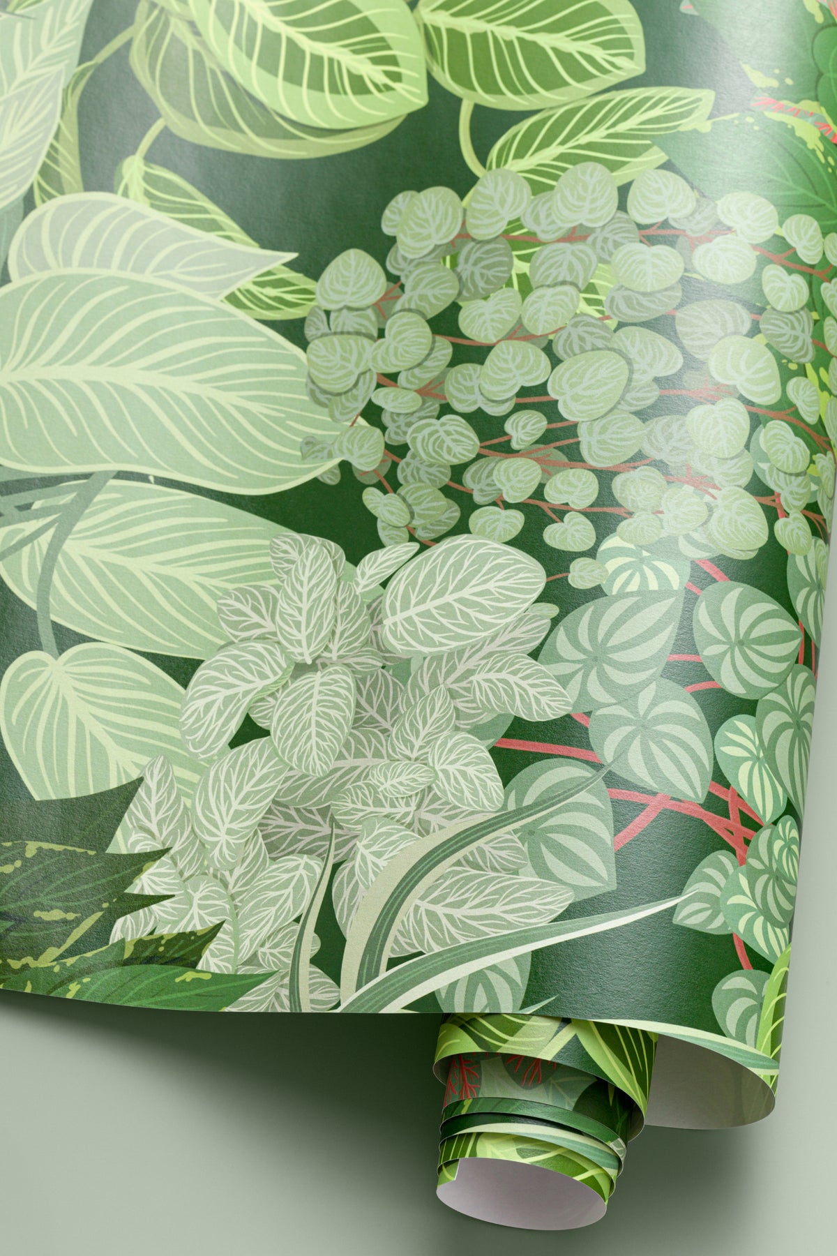 Angled detail of The Plant Room wallpaper in deep green