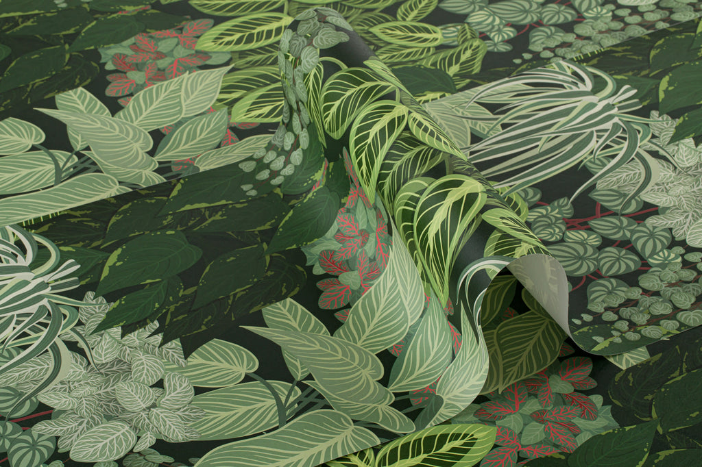Roll of The Plant Room wallpaper in deep green