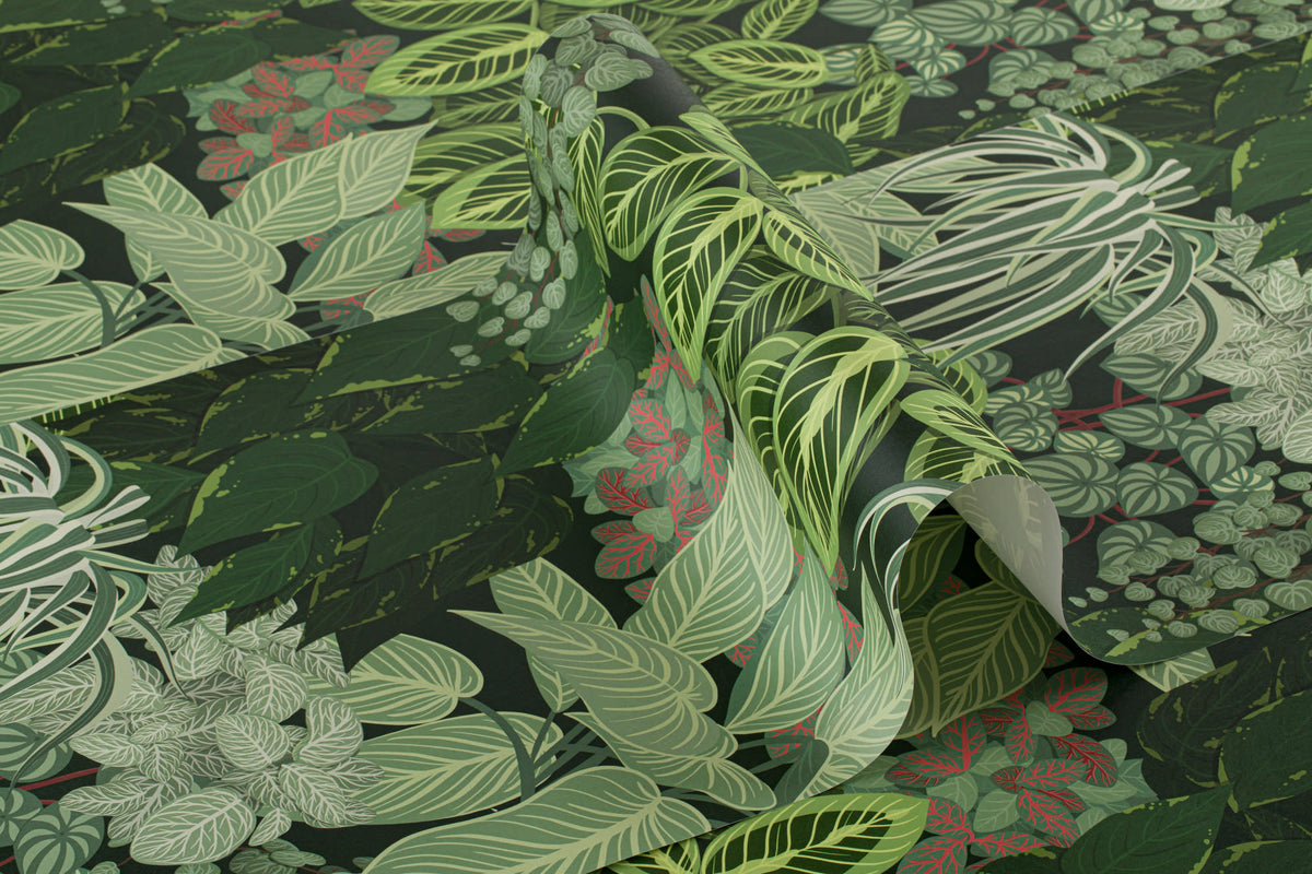 Roll of The Plant Room wallpaper in deep green