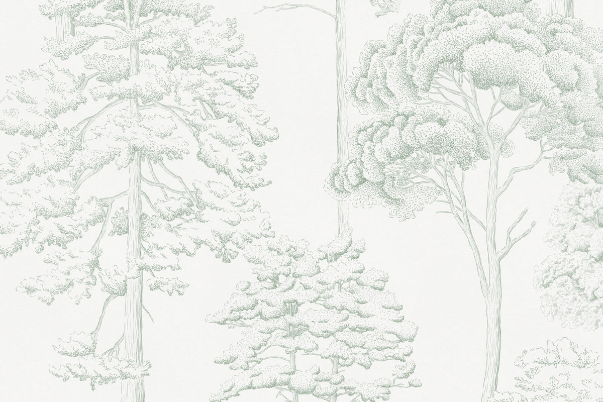 Flat pattern view of The Quiet Arboretum wallpaper in pale sage, showing the finely drawn trees