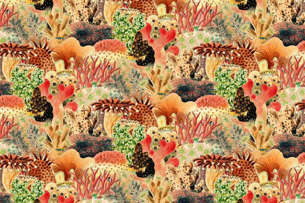 Full artwork view of The Reef Cabinet mural in coral red and jade, showing vintage sea plants and fish
