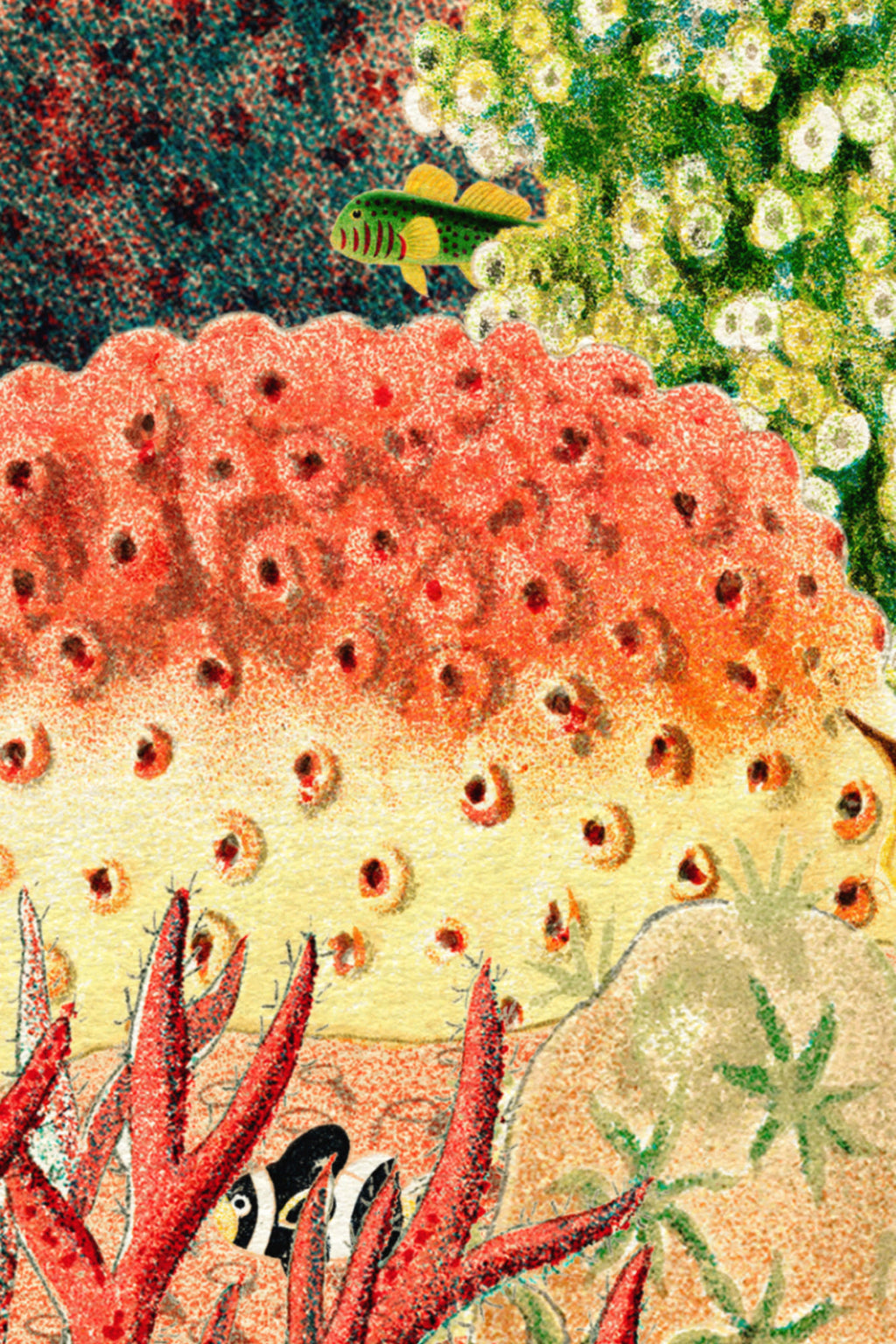 Close-up of The Reef Cabinet mural in coral red and jade showing the vintage sea plants and fish in detail