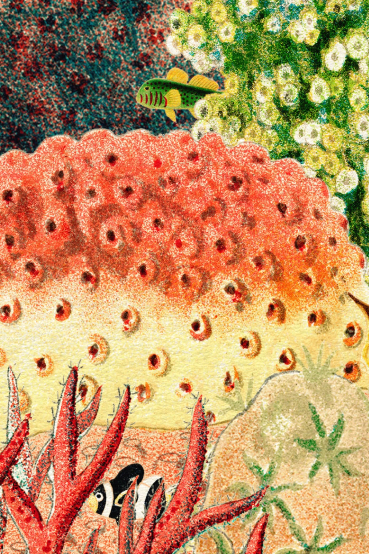 Close-up of The Reef Cabinet mural in coral red and jade showing the vintage sea plants and fish in detail