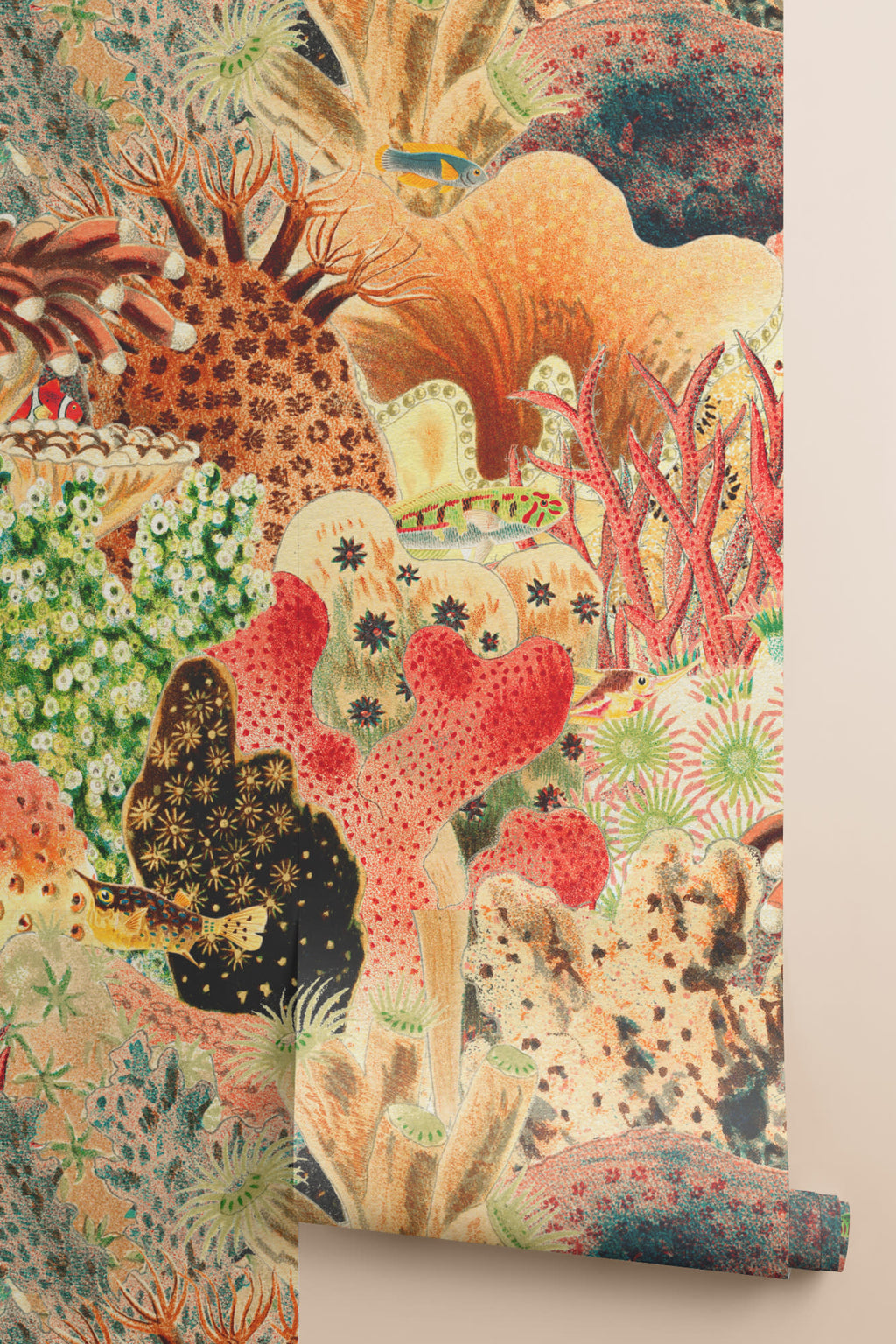 Rolled panel of The Reef Cabinet mural in coral red and jade