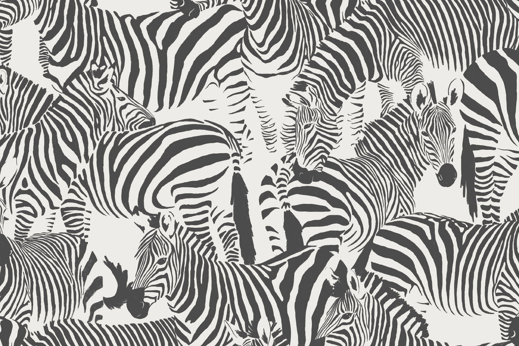Flat pattern view of The Striped Herd wallpaper in black and white, showing the close-packed zebra herd