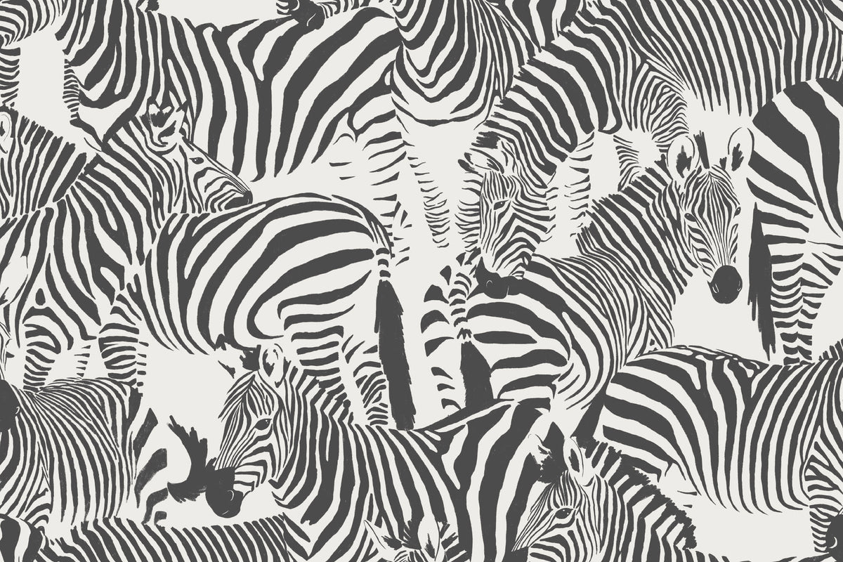 Flat pattern view of The Striped Herd wallpaper in black and white, showing the close-packed zebra herd