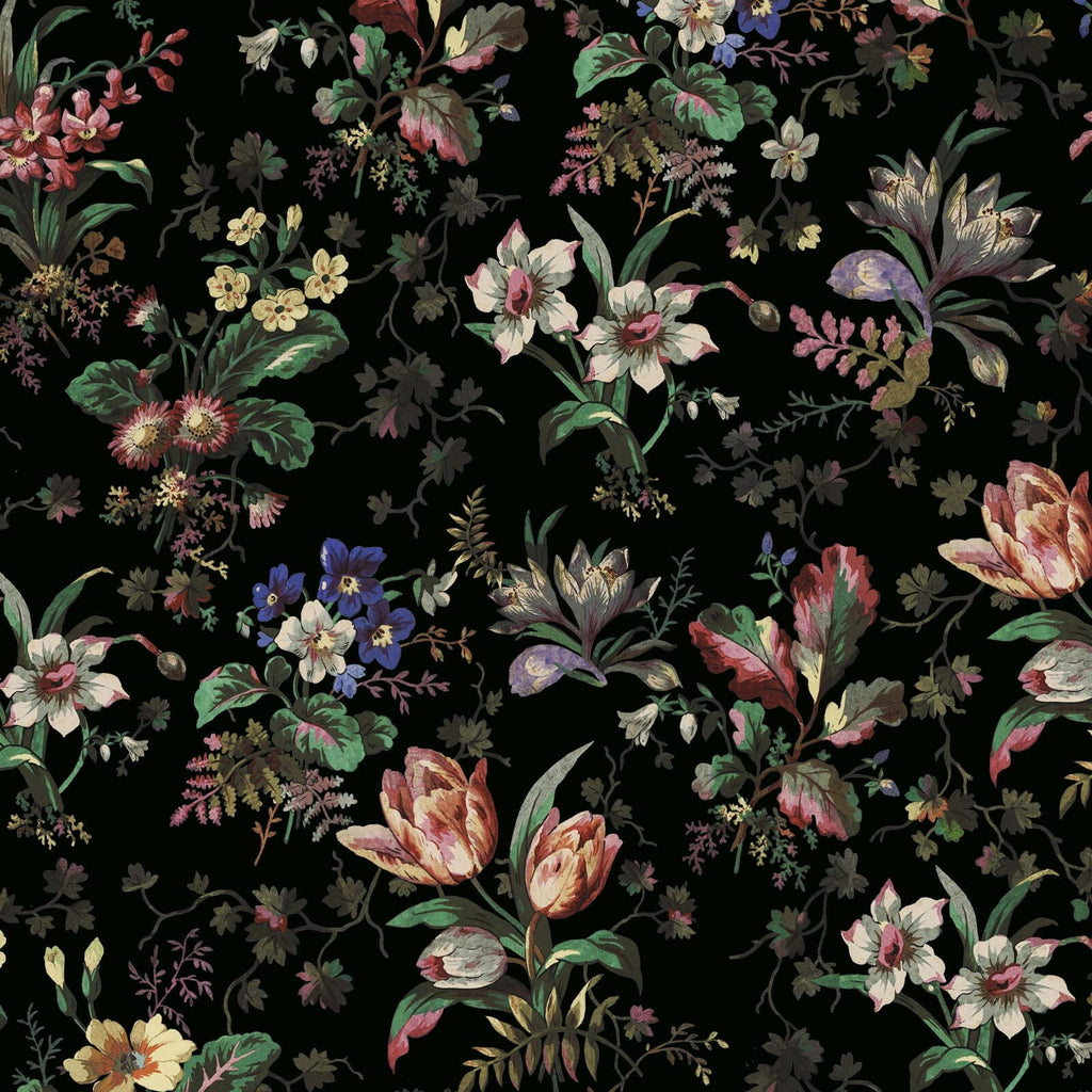 Tulipa | Onyx — 1