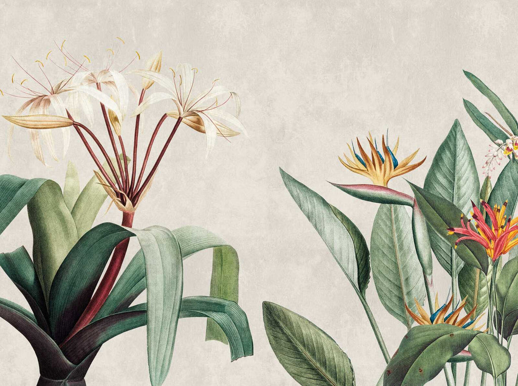 The Bird of Paradise | Tropical Botanical Luxe