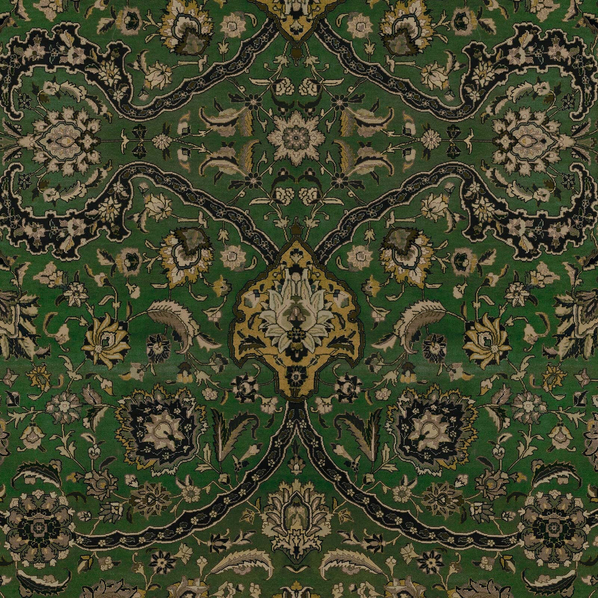 Zanjan | Juniper Green — 1